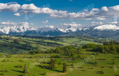 Preview: Snow-capped Tatry Mountains Rise Over Lush Green Fields With Sheep Grazing Under a Bright Blue Sky