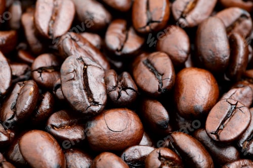 Preview: coffee bean