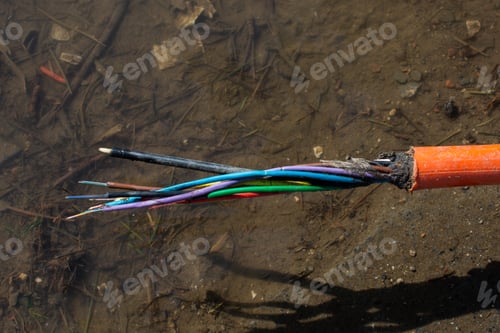 Preview: Closeup of an electrical cable with insulated conductors