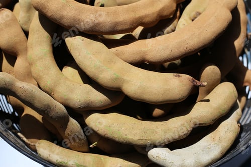 Preview: A pile of fresh tamarind pods in a basket.