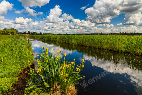 Preview: Beautiful rural landscape with river and flowers