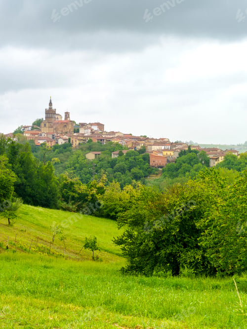 Preview: Landscape of Monferrato near Camagna at springtime