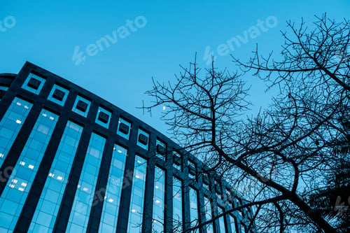Preview: Modern office building with tree branches framing it and cool tones, business concept
