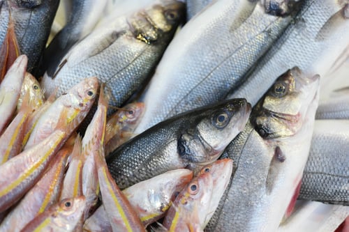 Preview: Fish for sale on market stall.
