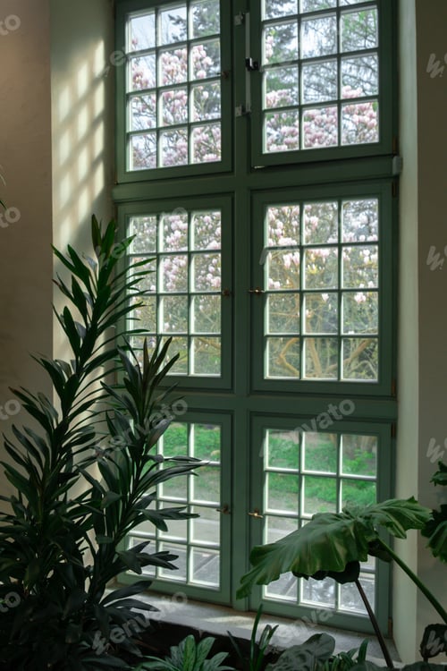 Preview: Close up of palm leaf next to old window. Abstract minimal interior design background decor template