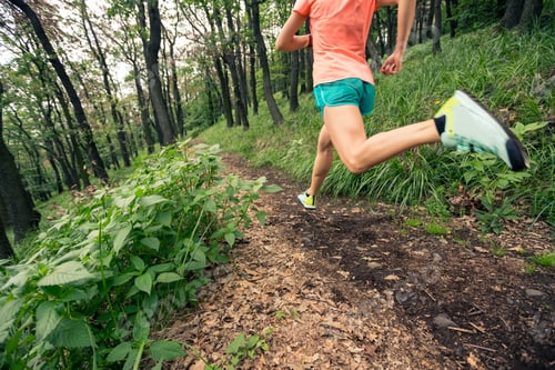 Preview: Woman trail running in green forest. Endurance sport.
