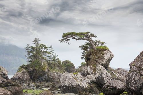 Preview: Vancouver island