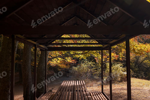 Preview: Empty small picnic pavilion with table on in the woodland