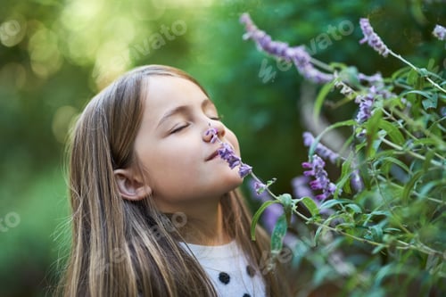 Preview: Cropped shot of a little girl smelling a lavender plant outside