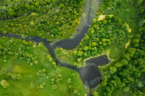 Preview: Aerial View. Green Forest, Meadow And River Marsh Landscape In S