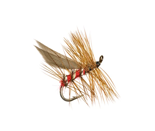 Preview: Fly Fishing Lure