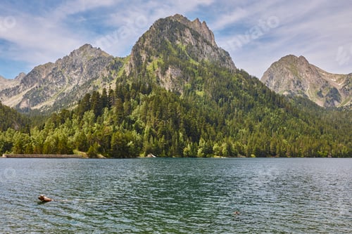 Preview: Aigues tortes national park forest landscape. Sant Maurici. Spain