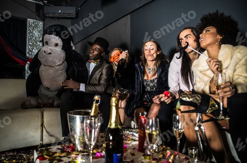 Preview: Friends having party in a nightclub