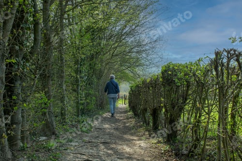 Preview: adult; woman; walking; nature; forest; spring; sky; green; trees; roots