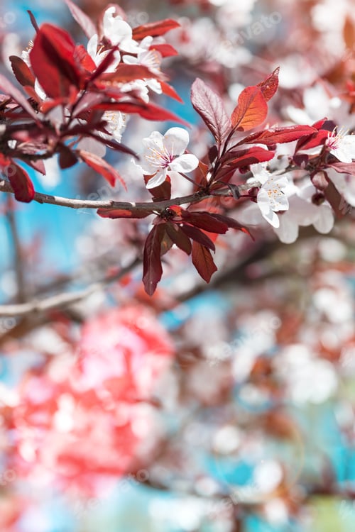Preview: tree branch with buds background