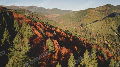 Preview: Aerial autumn mountain forest. Sun nobody nature landscape. Countryside buildings at natural beauty