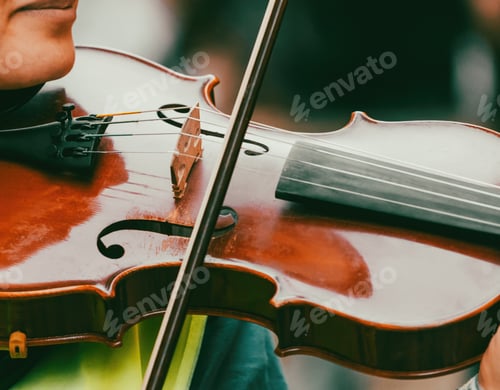 Preview: Musician playing violin during a live performance