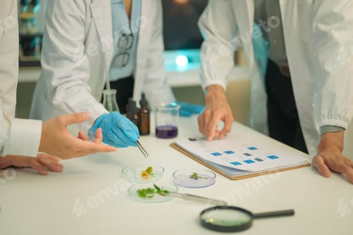Preview: Scientists discuss botany and agriculture research while examining plant