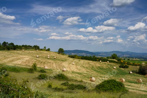Preview: Landscape in Molise near Macchiagodena and Frosolone