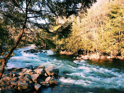 Preview: Wild river