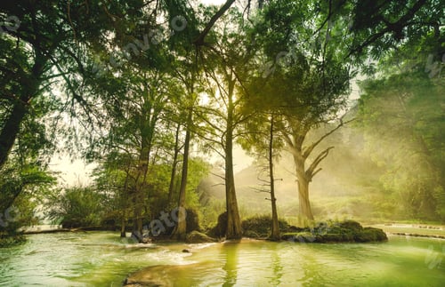 Preview: Lush Green River Flowing Through Forest Trees
