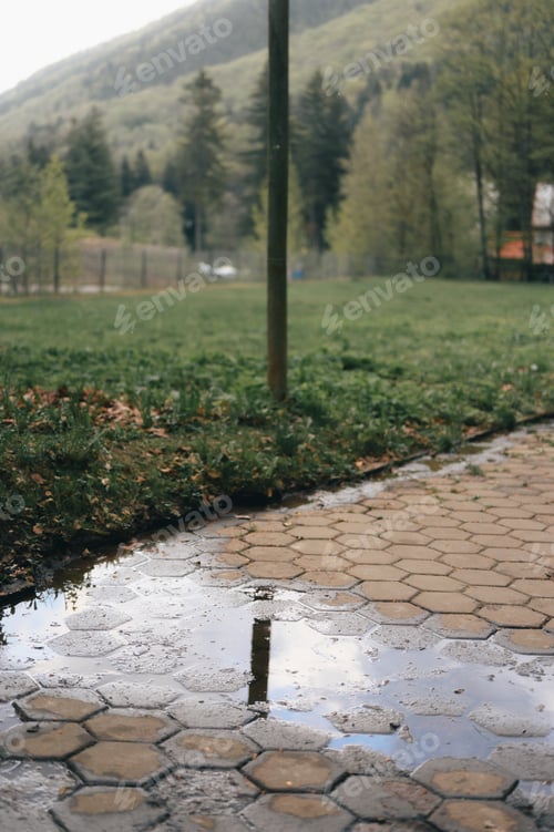 Preview: Park with a reflective puddle near trees
