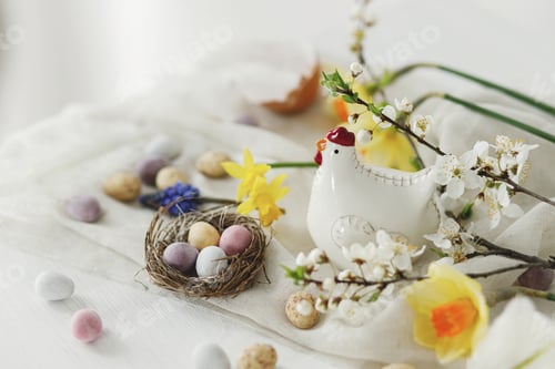 Preview: Easter still life. Colorful easter chocolate eggs in nest, spring flowers