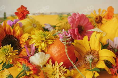 Preview: Stylish autumn composition with colorful autumn flowers, pumpkin, pattypan squash on yellow paper