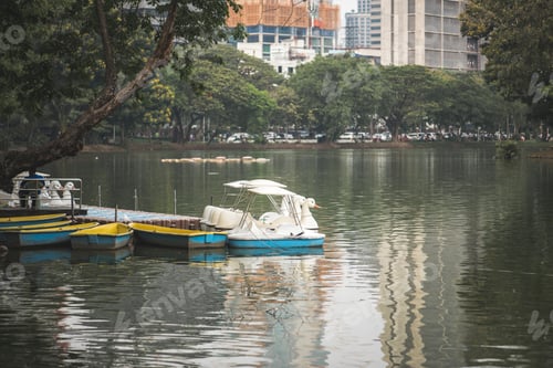 Preview: Swan paddle boats in Lumphini Park, Bangkok
