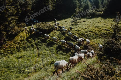 Preview: trekking in the mountains
