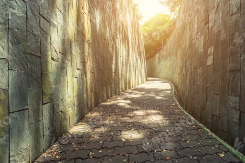 Preview: Walkway in garden in the morning with sunlight. Empty path for background.