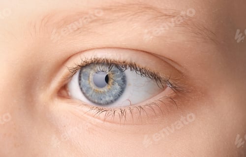 Preview: Macro picture of a baby's eye