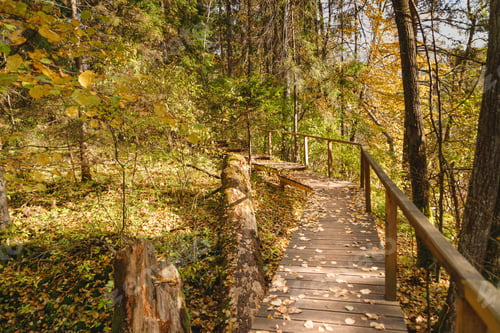 Preview: Wooden Pedestrian Bridge or Boardwalk in autumn forest, nature background