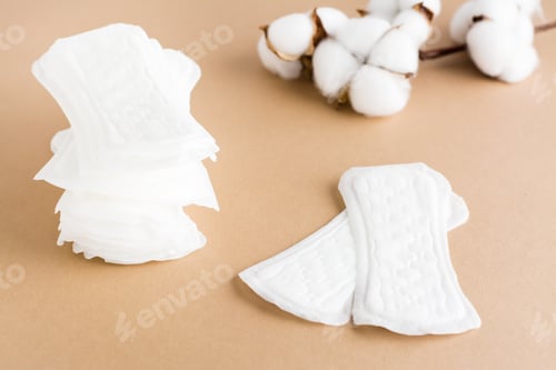 Preview: Clean disposable sanitary pads in a stack and next to it and a branch of cotton