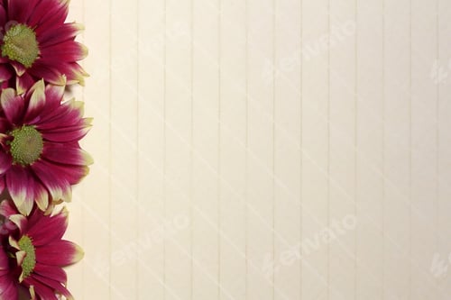 Preview: Red And Yellow Flowers With Beige Textured Background - Photograph Of Red And Yellow Flowers To The