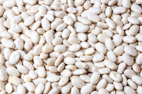 Preview: White haricot beans on the white background