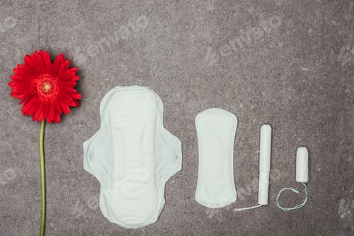 Preview: top view of arrangement of red flower, menstrual pads and tampons on grey surface