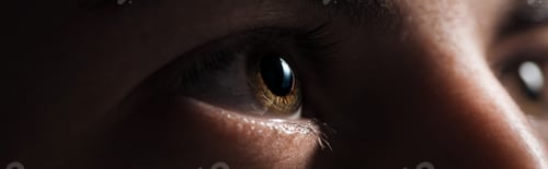 Preview: close up view of human brown eye looking away in dark, panoramic shot