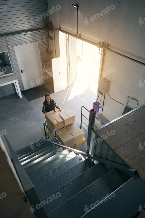 Preview: Joyous loader transporting wares on wheeled cart in warehouse