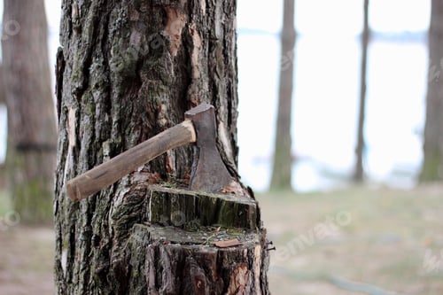 Preview: Axe , wood, nature, chop , choped.