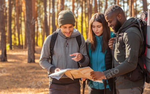 Preview: Group of hikers checking map, lost in middle of forest