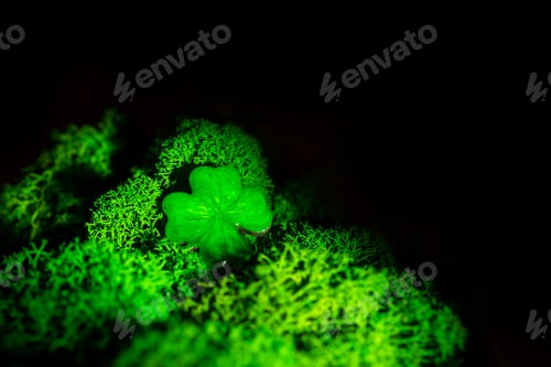 Preview: St. Patrick day background in dark.