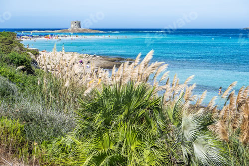 Preview: Sardinia Island in the Mediterranean Sea. Beach Scene With Clear Blue Water and Historic Tower
