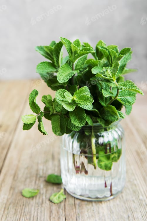 Preview: Fresh mint leaves