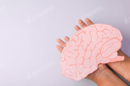 Preview: Human Brain Paper Cutout On Palm Hands Isolates On Purple Background With Copy Space
