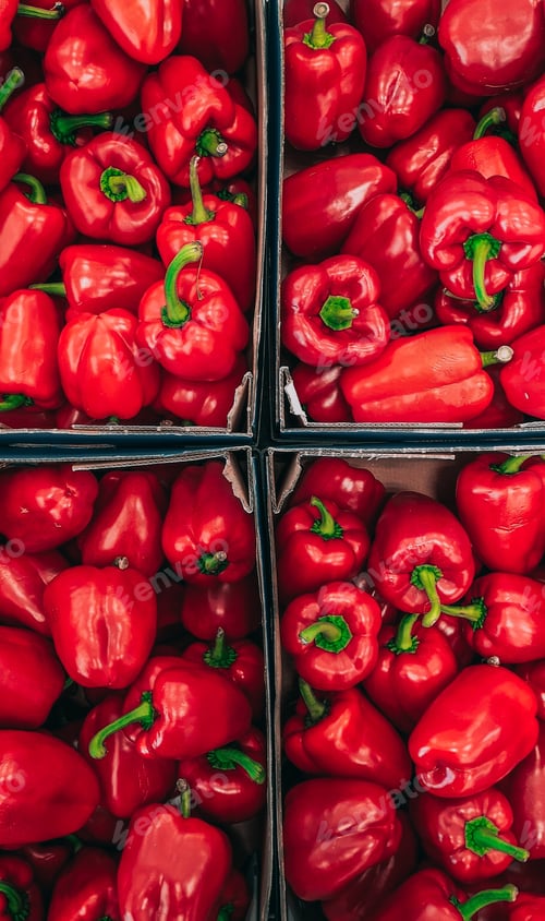 Rows of Ripe Red Bell Peppers