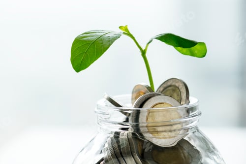 Preview: Green Sprout Growing From Coins in Clear Jar