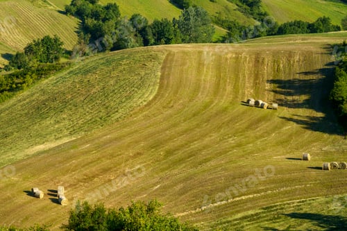 Preview: Rural landscape at Rivalta di Lesignano Bagni, Emilia-Romagna