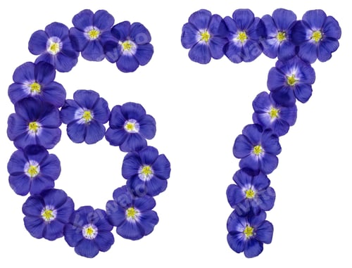 Preview: Arabic numeral 67, sixty seven, from blue flowers of flax, isolated on white background