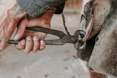 Preview: Man shoeing horse near stable